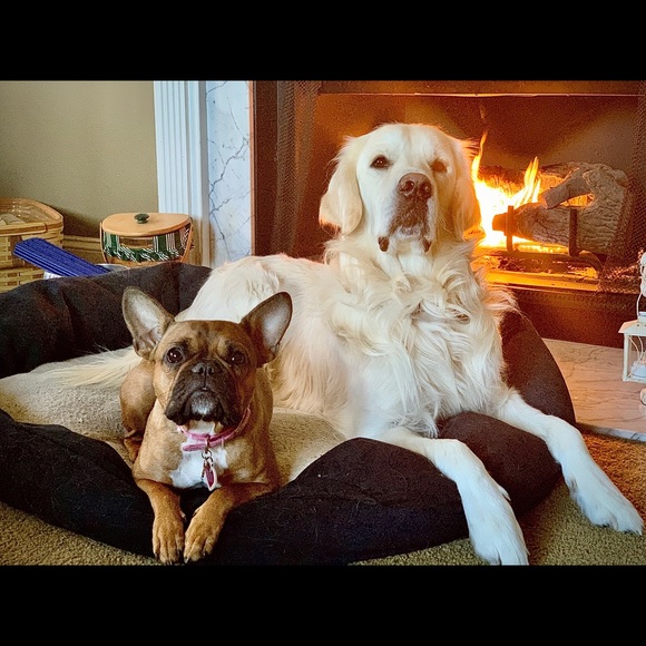 Meet your Posher, Katie 💋 - Picture 3 of 8